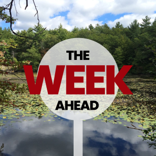 Week Ahead (July 28 – Aug 02, 2025)